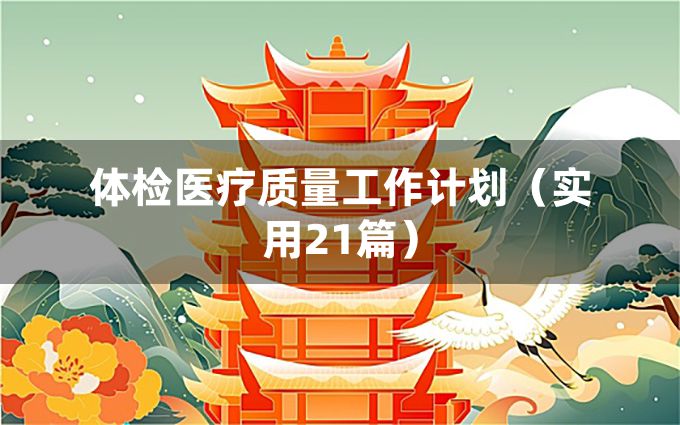 体检医疗质量工作计划（实用21篇）