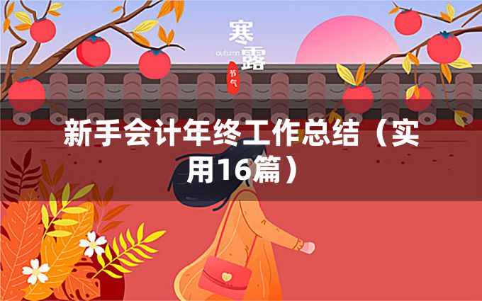 新手会计年终工作总结（实用16篇）