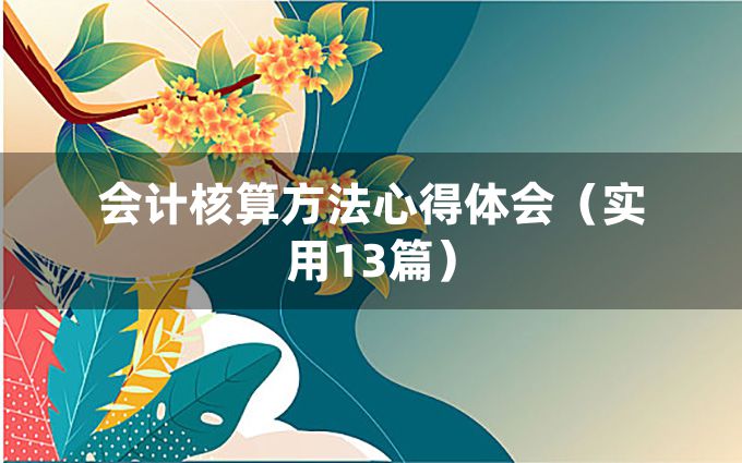 会计核算方法心得体会（实用13篇）