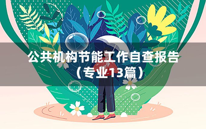 公共机构节能工作自查报告（专业13篇）