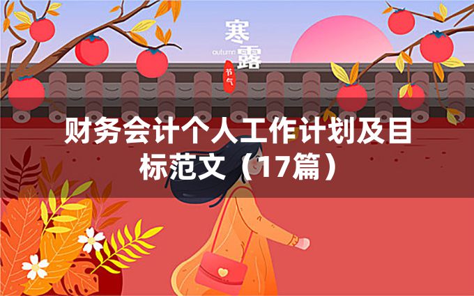 财务会计个人工作计划及目标范文（17篇）