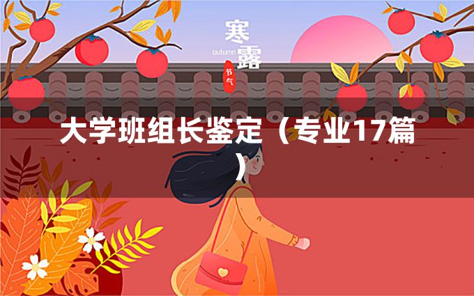 大学班组长鉴定（专业17篇）