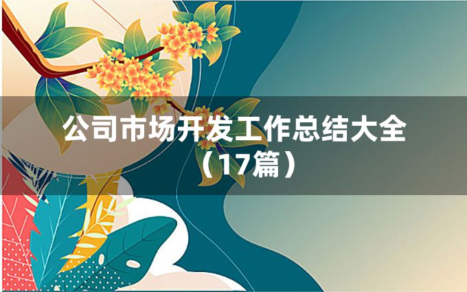 公司市场开发工作总结大全（17篇）