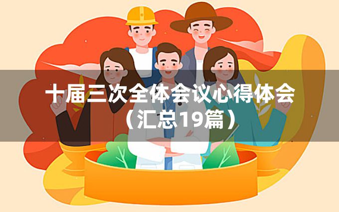 十届三次全体会议心得体会（汇总19篇）