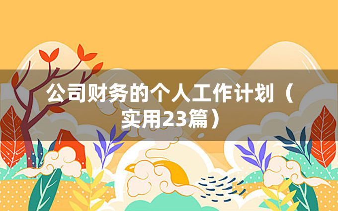 公司财务的个人工作计划（实用23篇）