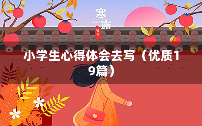 小学生心得体会去写（优质19篇）