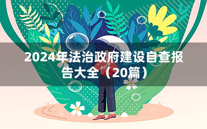 2024年法治政府建设自查报告大全（20篇）