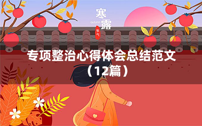 专项整治心得体会总结范文（12篇）