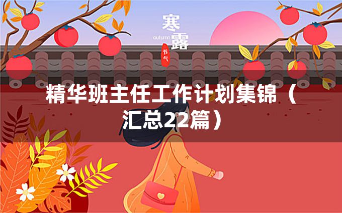 精华班主任工作计划集锦（汇总22篇）