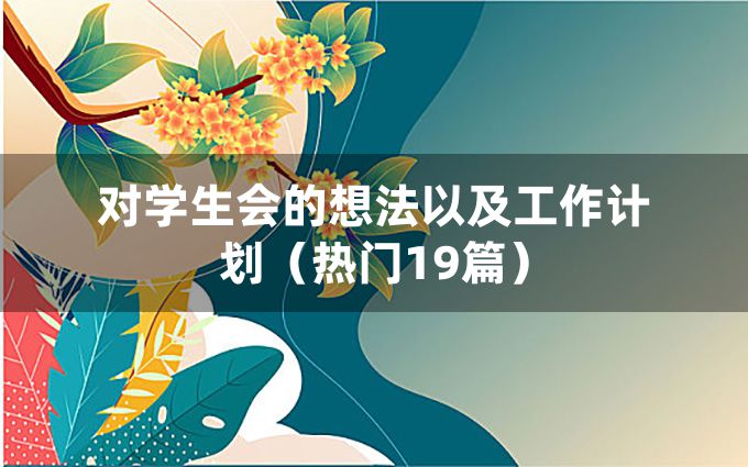 对学生会的想法以及工作计划（热门19篇）