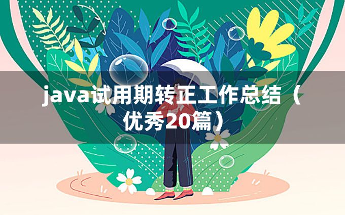 java试用期转正工作总结（优秀20篇）