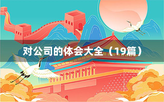 对公司的体会大全（19篇）