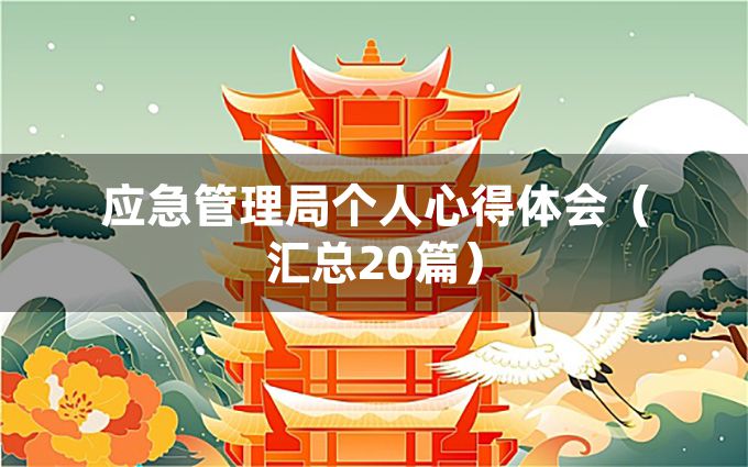 应急管理局个人心得体会（汇总20篇）