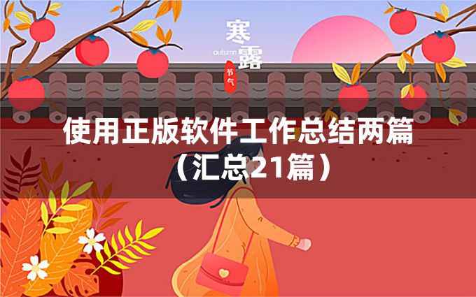 使用正版软件工作总结两篇（汇总21篇）