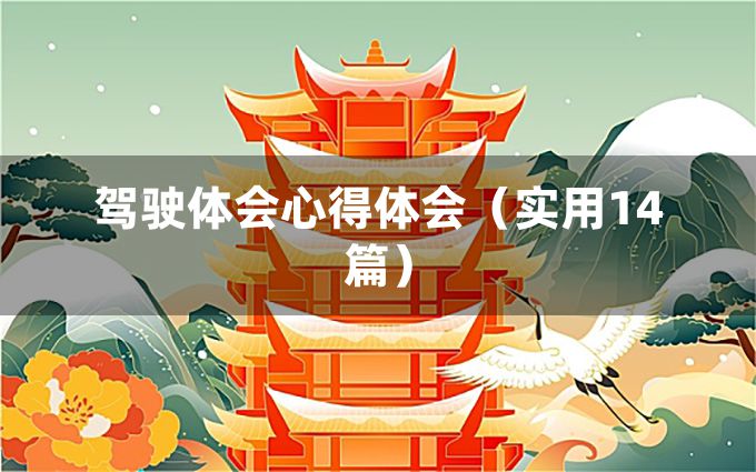 驾驶体会心得体会（实用14篇）