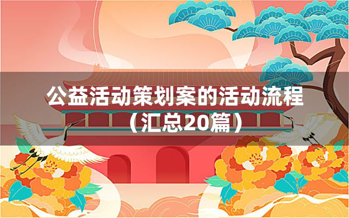 公益活动策划案的活动流程（汇总20篇）