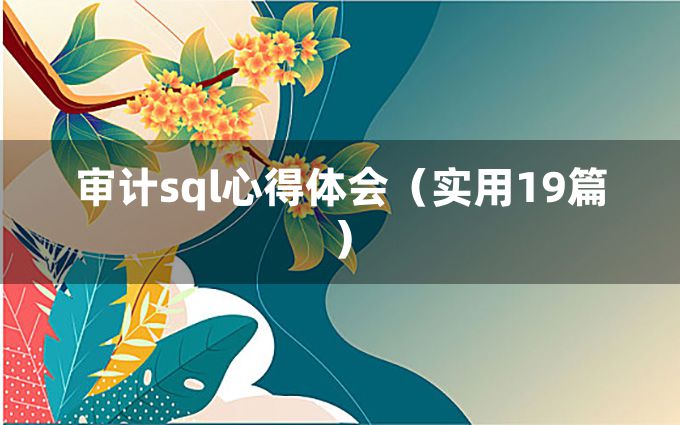 审计sql心得体会（实用19篇）