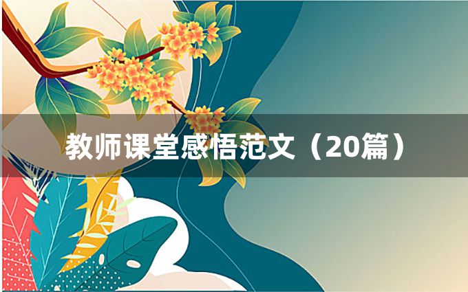 教师课堂感悟范文（20篇）