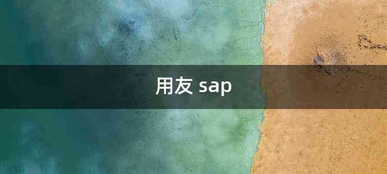 用友 sap