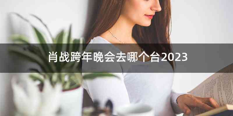 肖战跨年晚会去哪个台2023