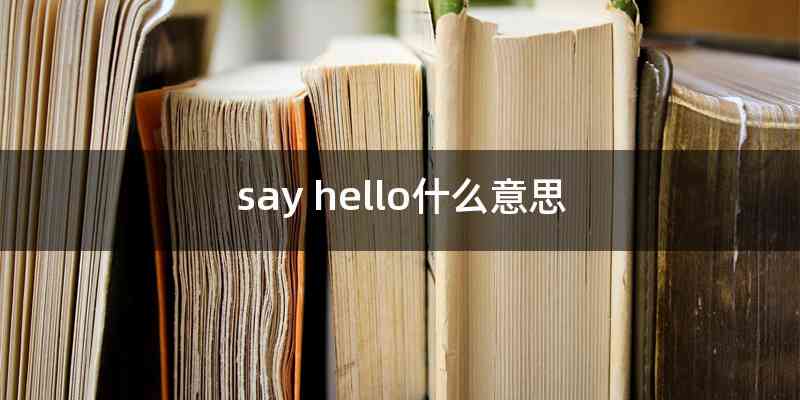 say hello什么意思