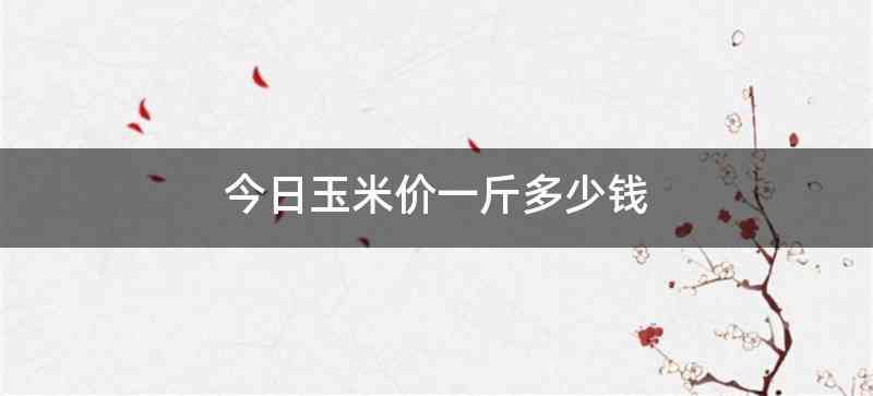 今日玉米价一斤多少钱