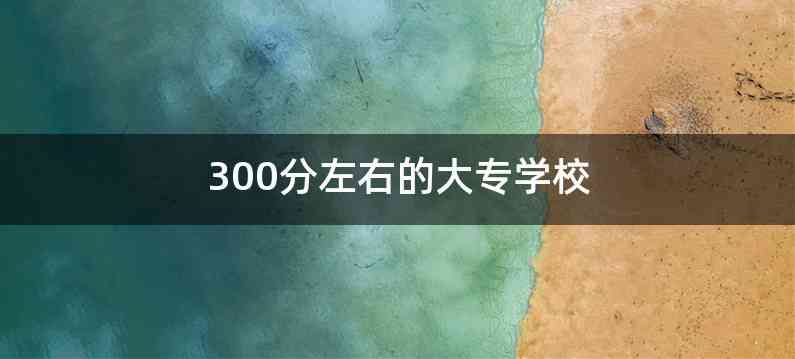 300分左右的大专学校