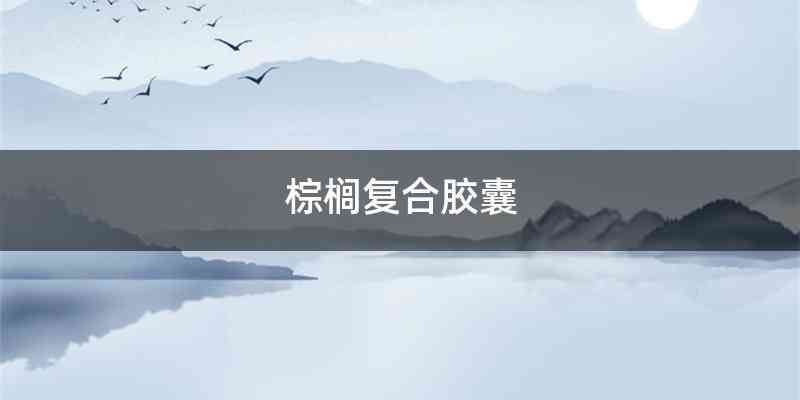 棕榈复合胶囊