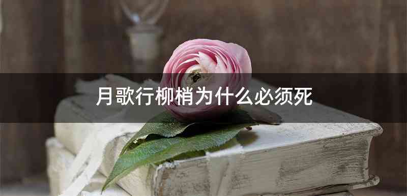 月歌行柳梢为什么必须死