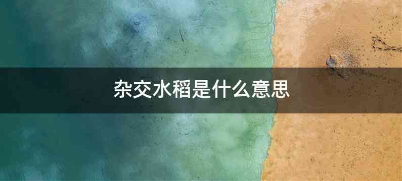 杂交水稻是什么意思