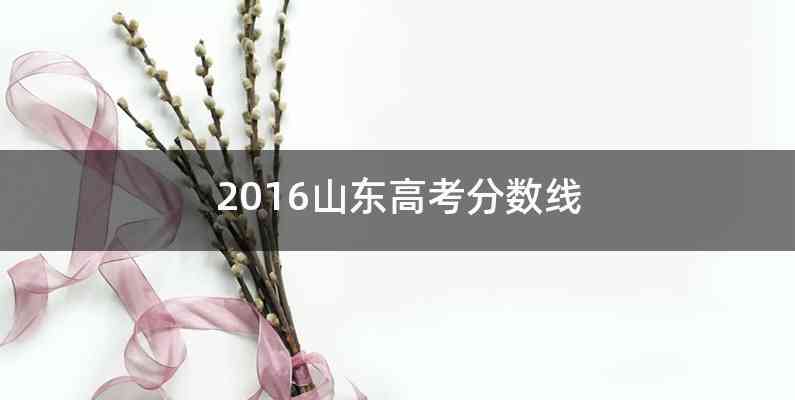 2016山东高考分数线