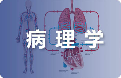 法医病理学研究内容