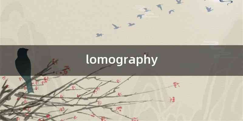 lomography