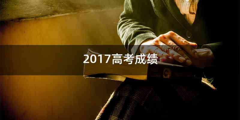 2017高考成绩